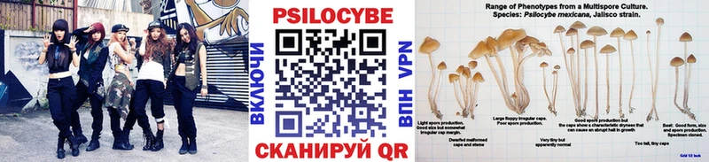 купить наркотики цена  блэк спрут рабочий сайт  Галлюциногенные грибы Psilocybe  Семёнов 